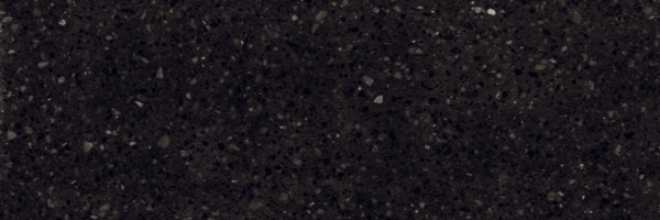 Labrador Black